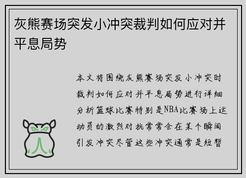 灰熊赛场突发小冲突裁判如何应对并平息局势
